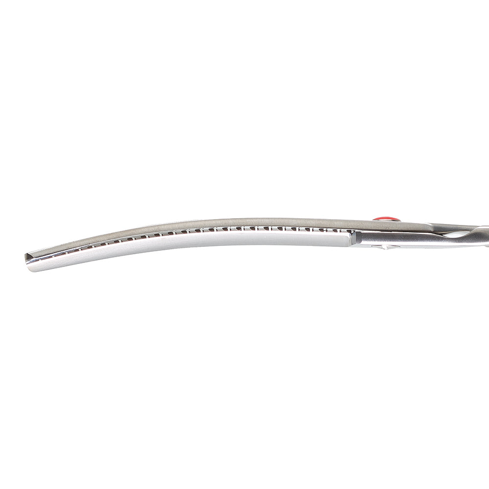 Kiepe Professional Pet Grooming Scissors (Curved Blade, 8”)